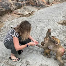 Rajasthan Tour Taxi