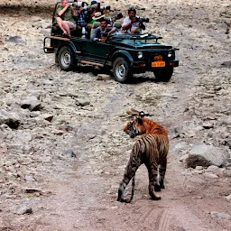 Rajasthan Wildlife tours