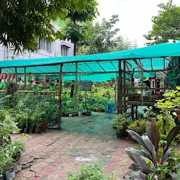 Rajib Nursery