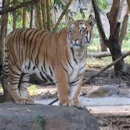 Rajiv Gandhi Zoological Park