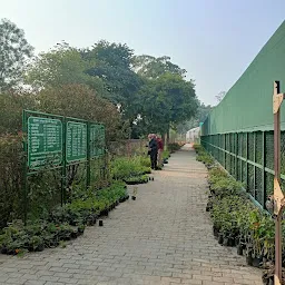 Rajkiya Udyan Parishar(Garden) Government Nursery