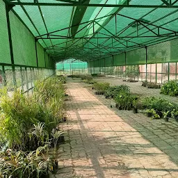 Rajkiya Udyan Parishar(Garden) Government Nursery