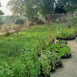 Rajkiya Udyan Parishar(Garden) Government Nursery