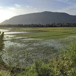 Raju garu Cheruvu