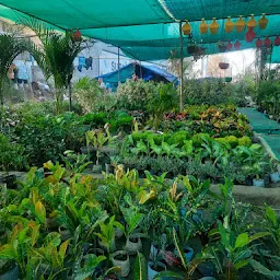 Raju nursery