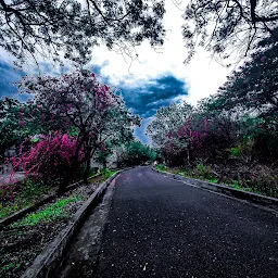 Raju Venkatesh Memorial Park