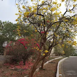 Raju Venkatesh Memorial Park