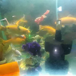 Ramji Aquarium