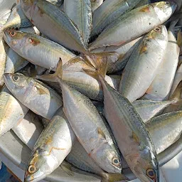 Ramnagar Fish Market