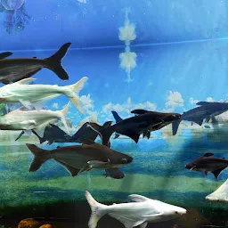 Ranchi aquarium