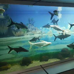 Ranchi aquarium