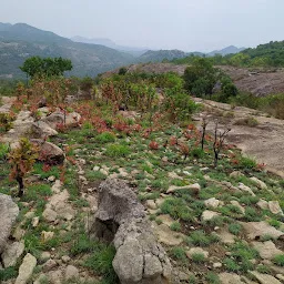 Rangadhama hills