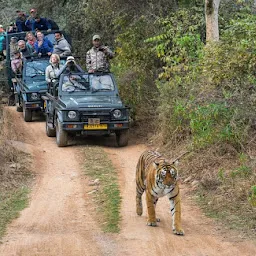 Ranthambhore Wild Safari