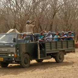 Ranthambhore Wild Safari