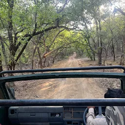 Ranthambore safari Journeys