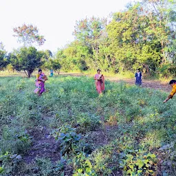 Rathod Farmhouse