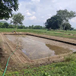 RATNASHRI FISH FARMING