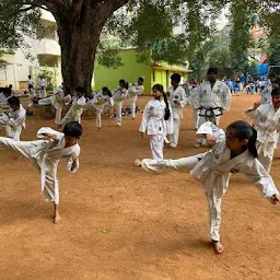 Rays Taekwondo Academy