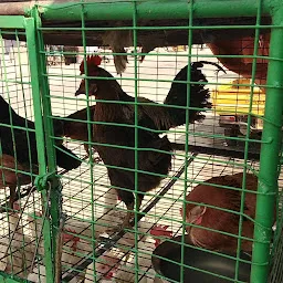 Raziya chicken center