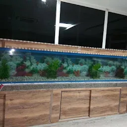 Rea fish aquarium
