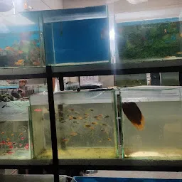 Real Aquarium