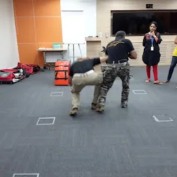 REFLEX QUOTIENT Behavioral & Combat Science Self Defense