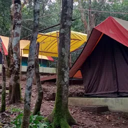 Reiek Camp Site