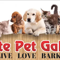 Relite Pet Gallery /Pet Salon /Cat studio In Lucknow | Pet Accessories Shop in Lucknow