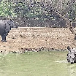 Rhinoceros Cage