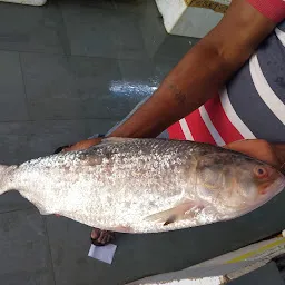 Rinku Fish Co