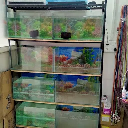 Rios Pet Shop & Aquarium