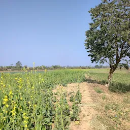 River Valley Picnic Spot Dhansiripar