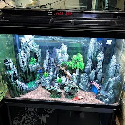 Rk Aquarium & Pets shop