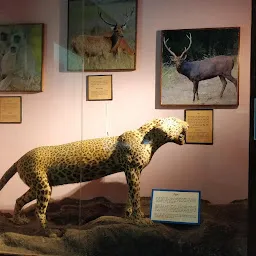 RMNH- Regional Museum Of Natural History
