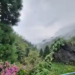 Rock Garden, Darjeeling
