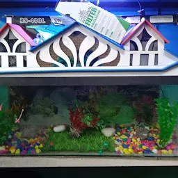 Rocky Aquarium and Pet Store