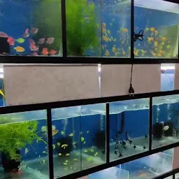 Rohini Aquarium Wholesale - Aquarium Shop Palakkad, Aquarium Wholesale Palakkad
