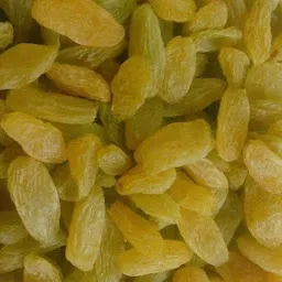 Rojivadia Traders - Raisins/Kishmish Wholesale supplier
