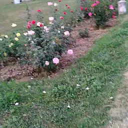 Rose Garden