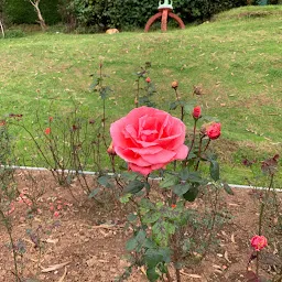 Rose Garden Entrance 2