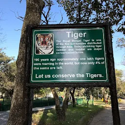 Royal Bengal Tiger Area