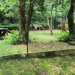 Royal Bengal Tiger Cage, Patna zoo