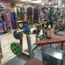 Royal Gym By Tandon's | Top 10 Gyms In Ludhiana | Best Gym For Girl's
