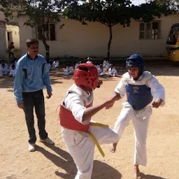 RR Nagar Taekwondo Centre