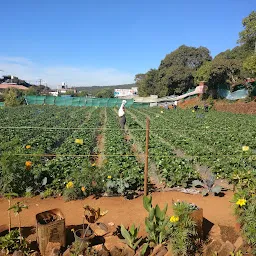 Ruchira Garden