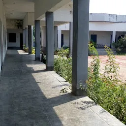 S.M.D Public School