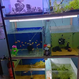 Planted aquarium clearance shop near me