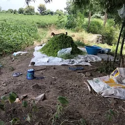 Sabji Mandi Fresh Vegetables