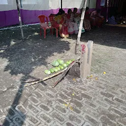 Saborna Roychoudhury(Borobari) Durga Puja Area