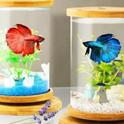 Sabri Fish Aquarium